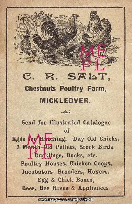 : Advertisement for poultry farm, Mickleover, Derby : Advertisement for poultry farm, Mickleover, Derby