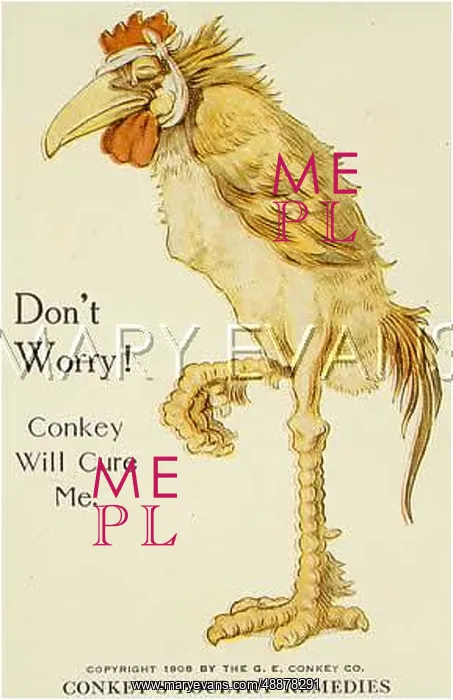  : ADVERT / POULTRY REMEDIES