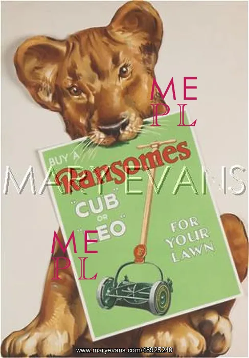  : An Advertisement for Ransomes motor lawn mowers