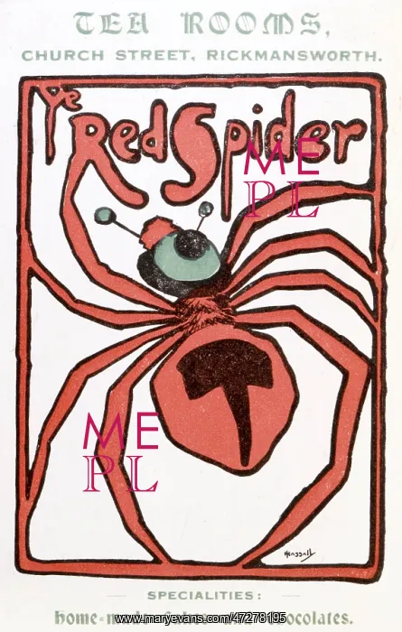  : ADVERT / RED SPIDER CAFE