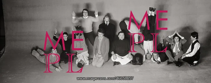 : Advertisement for a rug company : Advertisement for a rug company