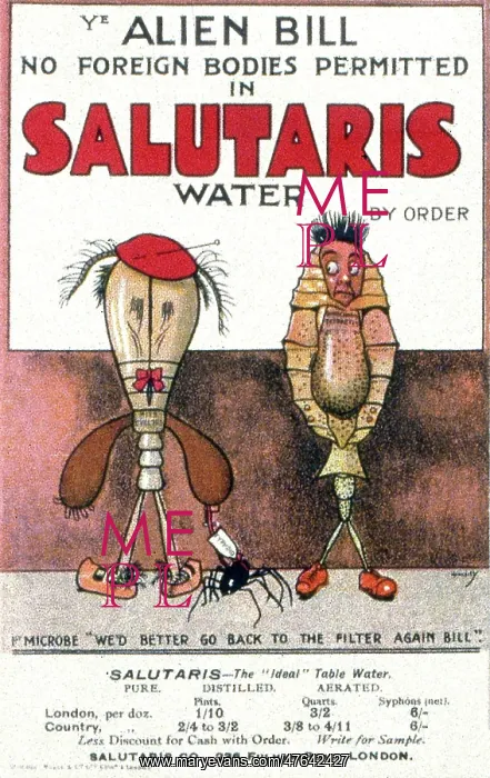 : Advertisement for Salutaris bottled table water : Advertisement for Salutaris bottled table water