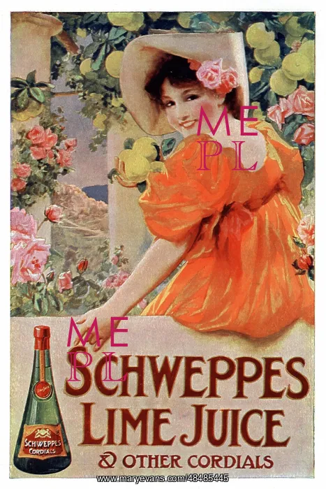  : Advert, Schweppes Lime Juice Cordial