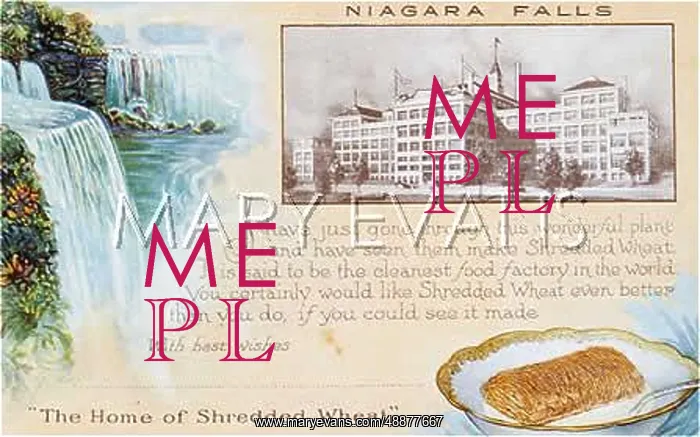 : ADVERT / SHREDDED WHEAT : ADVERT / SHREDDED WHEAT