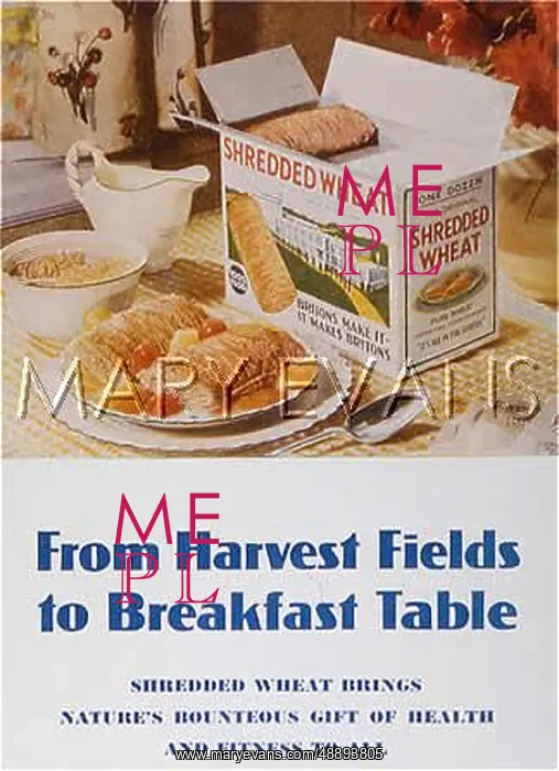 : ADVERT / SHREDDED WHEAT : ADVERT / SHREDDED WHEAT