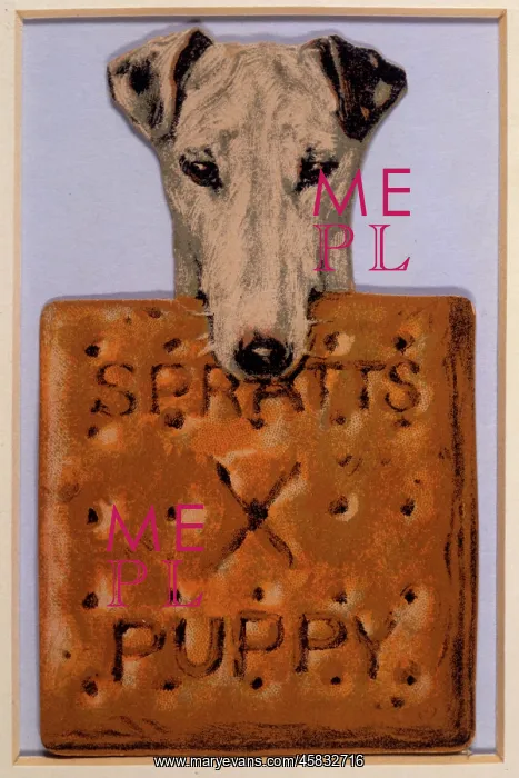  : Advert for Spratt's dog biscuits