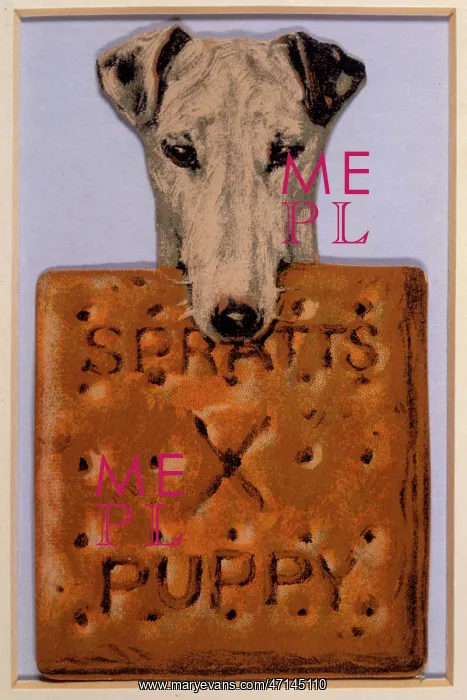  : Advert for Spratt's dog biscuits