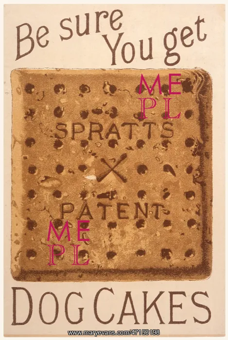 : Advertisement for Spratt's Patent Dog Cakes