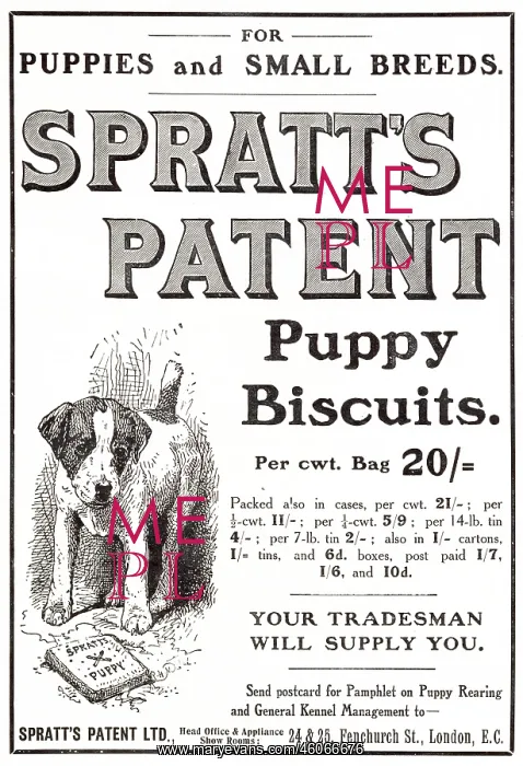 : Advert for Spratt's Patent Puppy Biscuits 1907 : Advert for Spratt's Patent Puppy Biscuits 1907