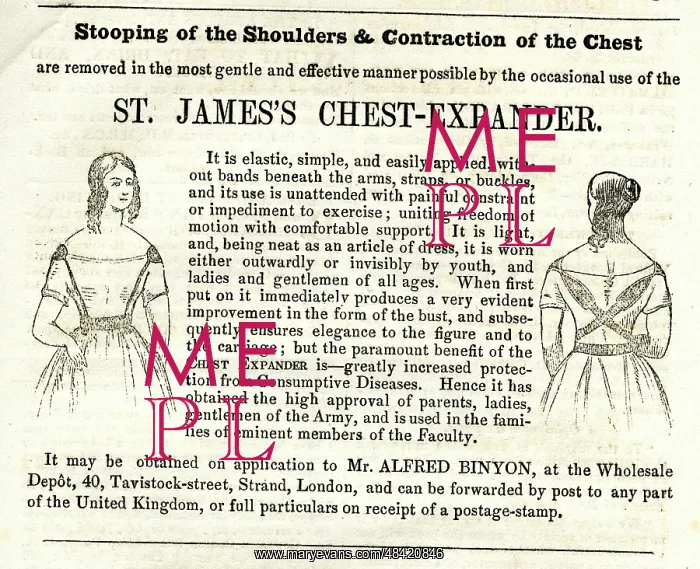 : Advertisement, St James's Chest Expander : Advertisement, St James's Chest Expander