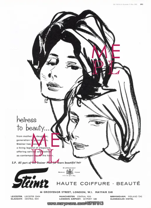 : Advertisement for Steiner Hairstylists : Advertisement for Steiner Hairstylists