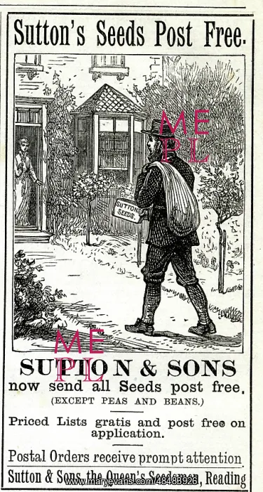 : Advert, Sutton's Seeds Post Free : Advert, Sutton's Seeds Post Free