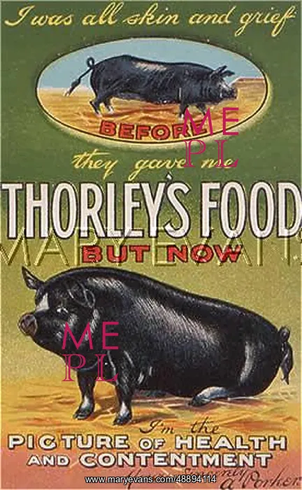  : ADVERT / THORLEY'S PIG