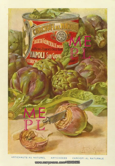 : Advertisement for tinned artichokes : Advertisement for tinned artichokes