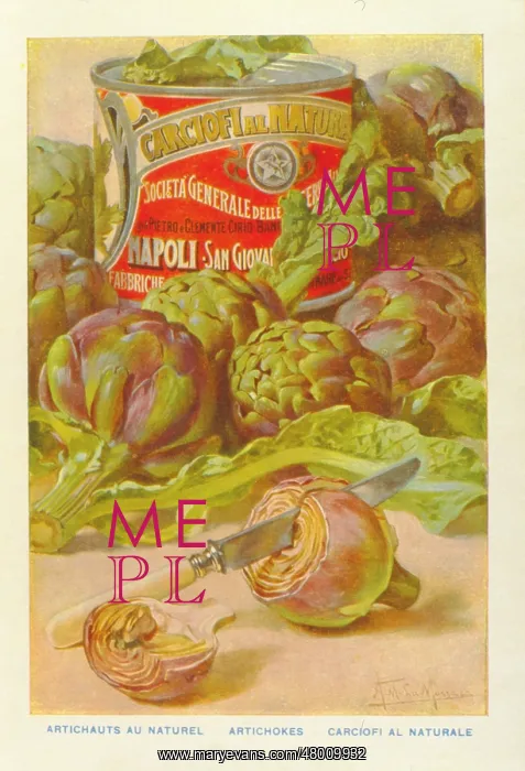 : Advertisement for tinned artichokes : Advertisement for tinned artichokes