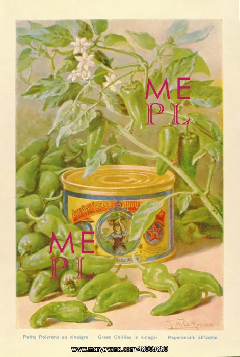 : Advertisement for tinned green chillies in vinegar : Advertisement for tinned green chillies in vinegar