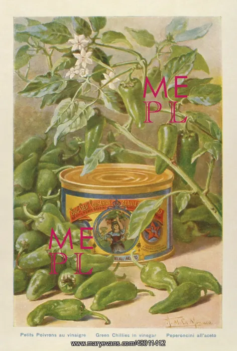 : Advertisement for tinned green chillies in vinegar : Advertisement for tinned green chillies in vinegar