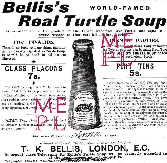 : An advertisement for Turtle Soup : An advertisement for Turtle Soup