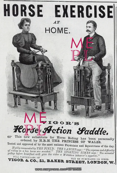 : Advertisement, Vigor's Horse-Action Saddle : Advertisement, Vigor's Horse-Action Saddle