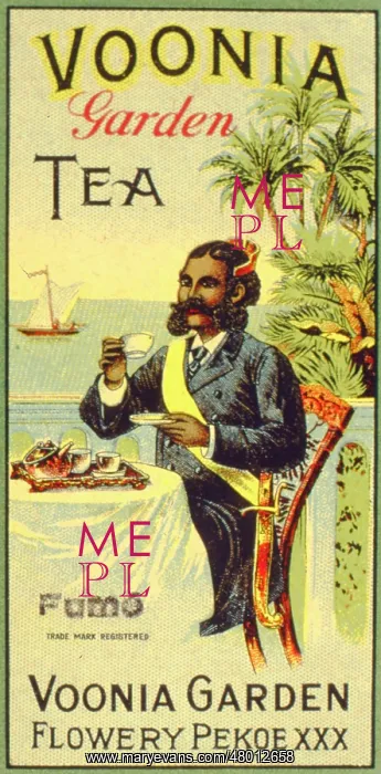 : Advertisement for Voonia Garden Tea : Advertisement for Voonia Garden Tea