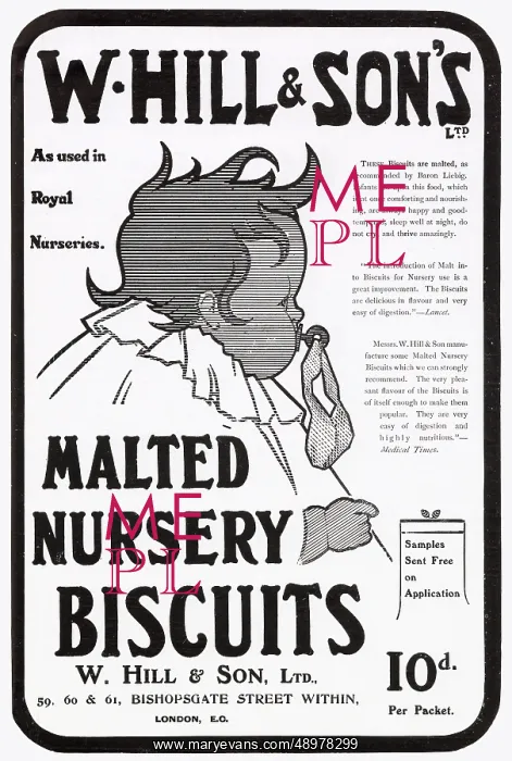 : Advert for W. Hill & Son - Malted Nursery Biscuit 1904 : Advert for W. Hill & Son - Malted Nursery Biscuit 1904