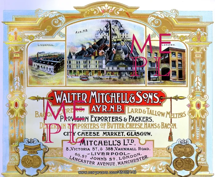 : Advert, Walter Mitchell & Sons, Ayr, Scotland : Advert, Walter Mitchell & Sons, Ayr, Scotland