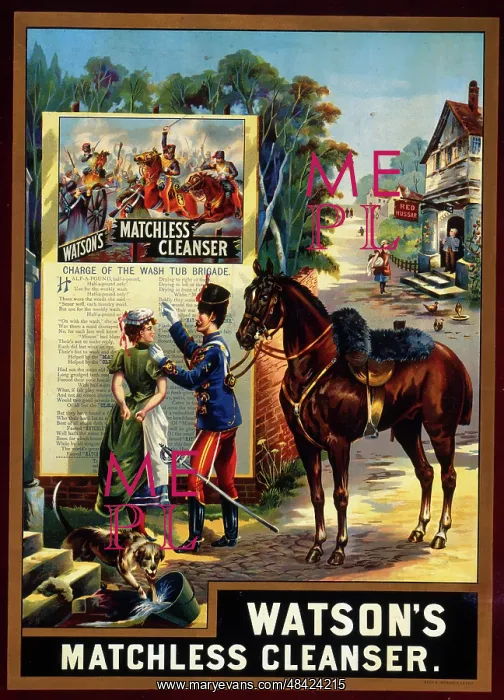  : Advert, Watson's Matchless Cleanser