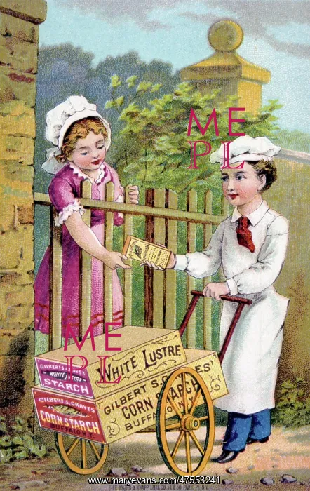 : An advertisement for White Lustre Starch : An advertisement for White Lustre Starch
