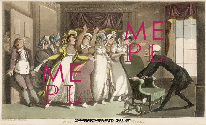 : The Advertisement for a Wife : The Advertisement for a Wife