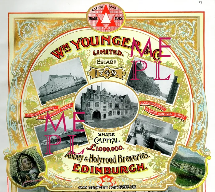 : Advert, William Younger & Co, Breweries, Edinburgh : Advert, William Younger & Co, Breweries, Edinburgh