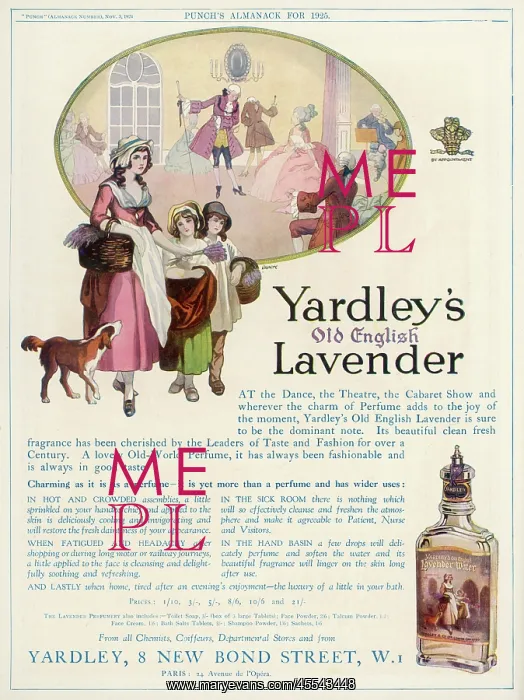 : Advertisement - Yardley Lavender : Advertisement - Yardley Lavender