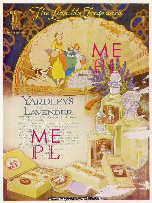 : ADVERT / YARDLEY LAVENDER : ADVERT / YARDLEY LAVENDER