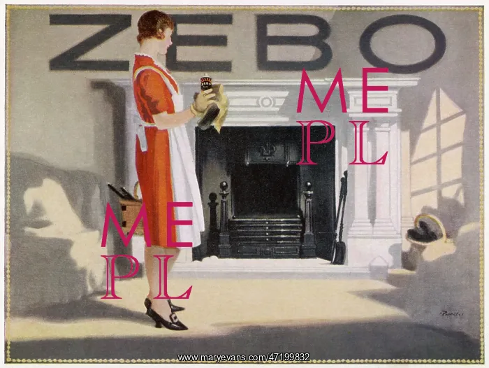  : ADVERT FOR ZEBO 1929