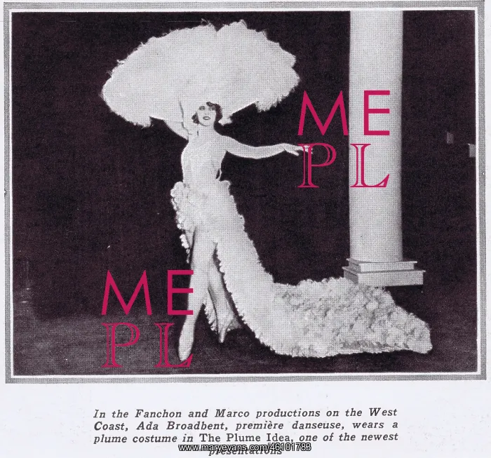 : Ada Broadbent wearing an exotic plumed and feathered : Ada Broadbent wearing an exotic plumed and feathered