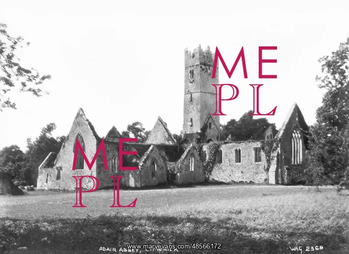 : Adair Abbey, Limerick : Adair Abbey, Limerick