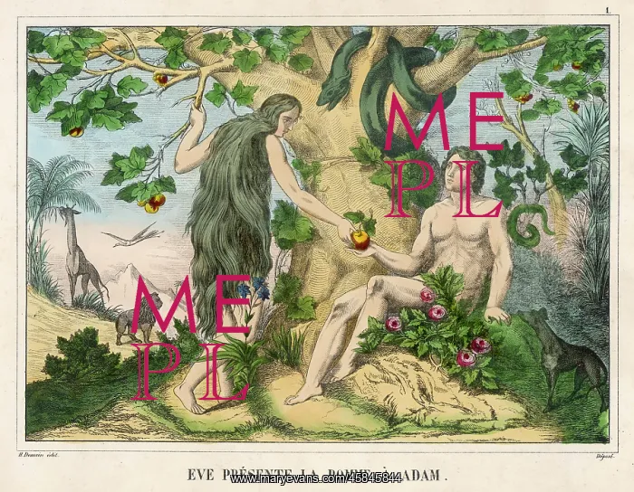 : ADAM ACCEPTS THE APPLE : ADAM ACCEPTS THE APPLE