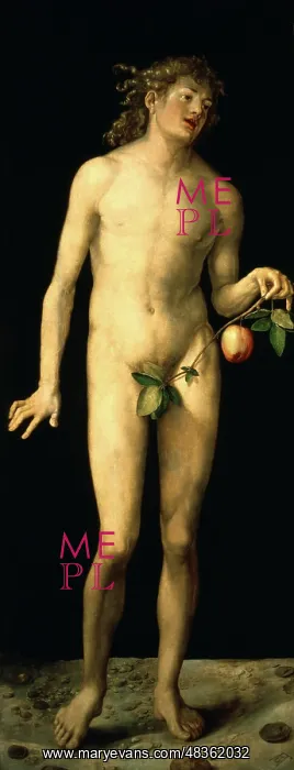: Adam Artist: Albrecht Durer : Adam Artist: Albrecht Durer
