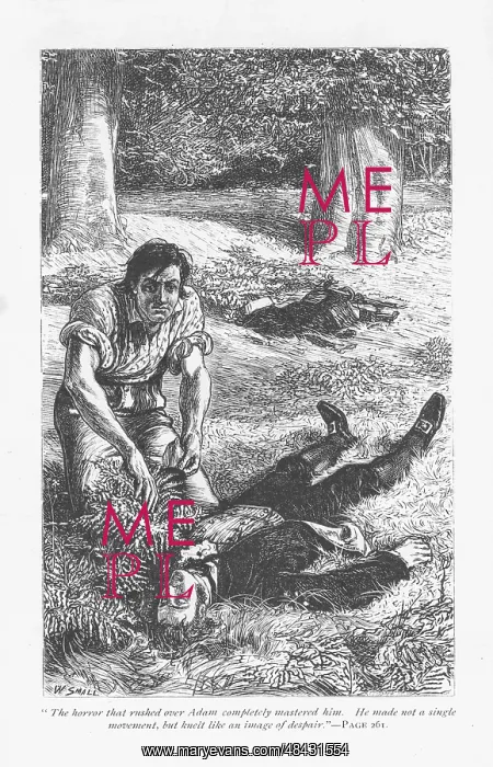 : Adam Bede, having got the better of Arthur Donnithorne : Adam Bede, having got the better of Arthur Donnithorne