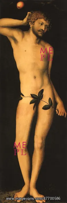  : Adam, by Cranach