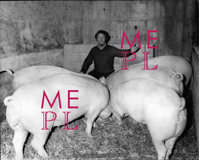  : Adam Deane, opera singer, becomes pig farmer, Kent