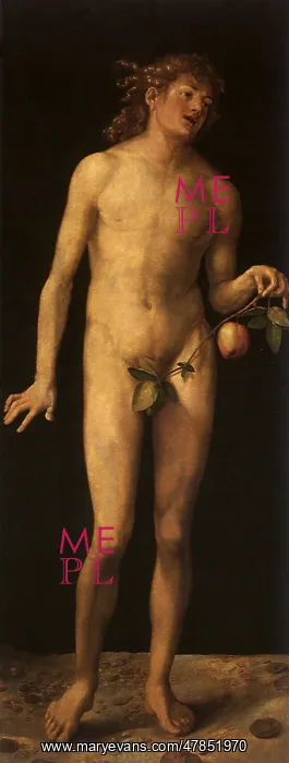 : Adam, by Durer : Adam, by Durer