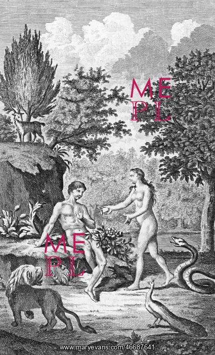 : Adam and Eve take the apple in the Garden of Eden : Adam and Eve take the apple in the Garden of Eden
