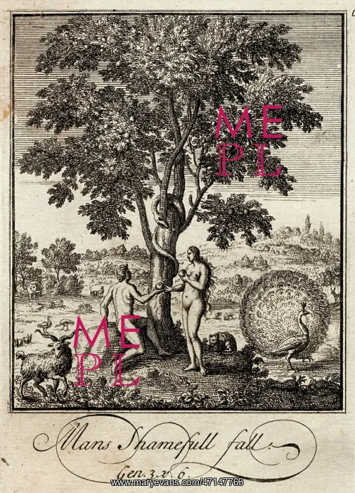 : Adam and Eve take the apple in the Garden of Eden : Adam and Eve take the apple in the Garden of Eden