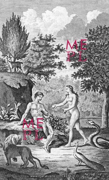 : Adam and Eve take the apple in the Garden of Eden : Adam and Eve take the apple in the Garden of Eden