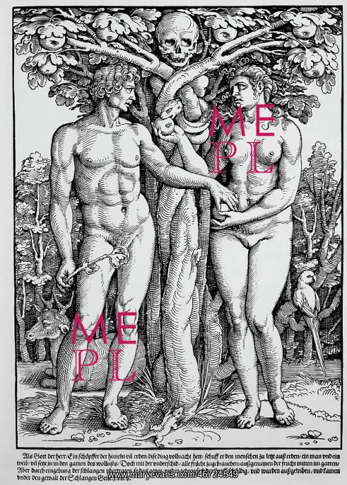 : Adam - Eve - Biblical - Creation : Adam - Eve - Biblical - Creation