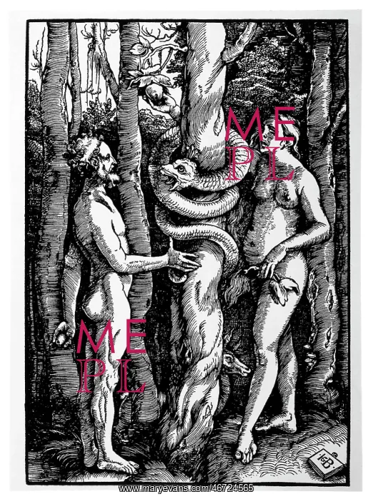 : Adam - Eve - Biblical - Creation : Adam - Eve - Biblical - Creation