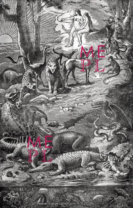 : Adam and Eve with Dinosaurs, 1886 : Adam and Eve with Dinosaurs, 1886
