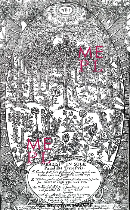 : Adam and Eve in the Garden of Eden gathering fruit : Adam and Eve in the Garden of Eden gathering fruit