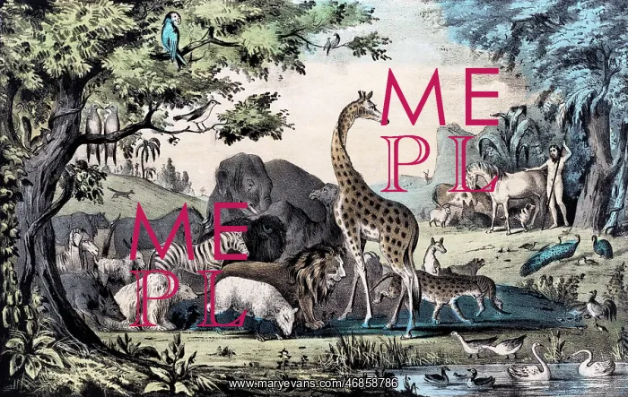  : Adam Naming the Animals