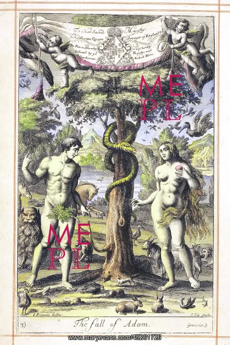 : Adam and the serpent : Adam and the serpent